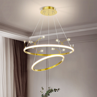 Immaginazione Crystal Pendant Light Apartment Decorative moderno del LED Epistar